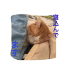 我が家のにゃーpartにゃー（個別スタンプ：32）