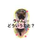 ヨーキー★ちょこでち（個別スタンプ：7）