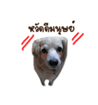 Mork Sri（個別スタンプ：1）