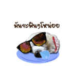 Mork Sri（個別スタンプ：6）