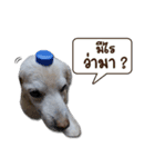 Mork Sri（個別スタンプ：7）