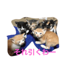 inori ＆ babies（個別スタンプ：3）