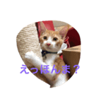 inori ＆ babies（個別スタンプ：8）