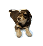 maromaromaromaro（個別スタンプ：6）