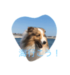 mydog4（個別スタンプ：8）