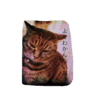 うちの猫は無表情（個別スタンプ：9）