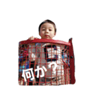 kojimafamily（個別スタンプ：13）