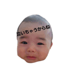kojimafamily（個別スタンプ：21）