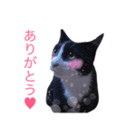 みゅうみゅうのペット可愛いワンニャンず3（個別スタンプ：5）