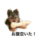くららのご挨拶（個別スタンプ：1）