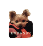 くららのご挨拶（個別スタンプ：2）
