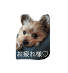 くららのご挨拶（個別スタンプ：3）