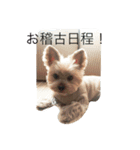 くららのご挨拶（個別スタンプ：7）