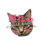 うちのサブロー（個別スタンプ：11）