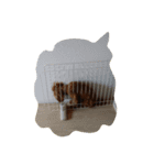 一人になりたいの（個別スタンプ：7）