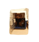 一人になりたいの（個別スタンプ：8）
