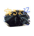 俺のこと知ってるかい？（個別スタンプ：2）