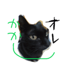 俺のこと知ってるかい？（個別スタンプ：3）