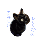 俺のこと知ってるかい？（個別スタンプ：4）