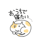だめネコ（個別スタンプ：21）