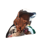 今日の村岡おじさん（個別スタンプ：2）