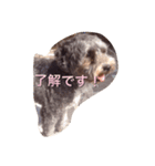 アンくんスタンプ（個別スタンプ：1）