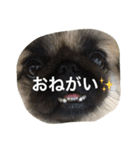 くるみの日常（個別スタンプ：4）