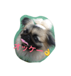 くるみの日常（個別スタンプ：7）