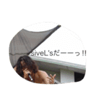 SIVELWARS 2017 ザ・シヴェルズ（個別スタンプ：11）