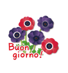 ありがとう花が咲くよ イタリア語 改訂版（個別スタンプ：37）