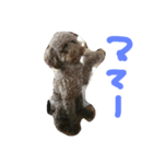 うに①（個別スタンプ：1）