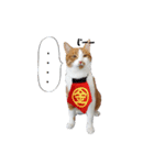 茶白とら猫（個別スタンプ：4）