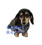 M.D coco2（個別スタンプ：1）