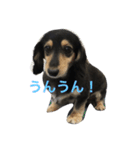 M.D coco2（個別スタンプ：5）