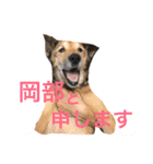 岡部と申します（個別スタンプ：1）