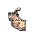 岡部と申します（個別スタンプ：2）