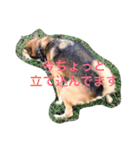 岡部と申します（個別スタンプ：3）