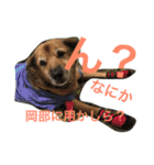 岡部と申します（個別スタンプ：6）