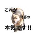 岡部と申します（個別スタンプ：7）