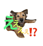 岡部と申します（個別スタンプ：16）