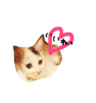 わんにゃん♡2（個別スタンプ：1）