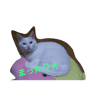 YUKIiiiiii（個別スタンプ：1）