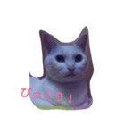 YUKIiiiiii（個別スタンプ：2）
