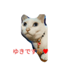 YUKIiiiiii（個別スタンプ：4）