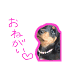 ルイちゃんのスタンプ（個別スタンプ：1）