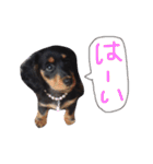 ルイちゃんのスタンプ（個別スタンプ：2）
