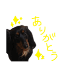 ルイちゃんのスタンプ（個別スタンプ：7）