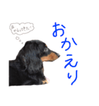 ルイちゃんのスタンプ（個別スタンプ：20）