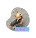 レオのひとこと（個別スタンプ：4）