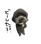 pino is friends（個別スタンプ：1）